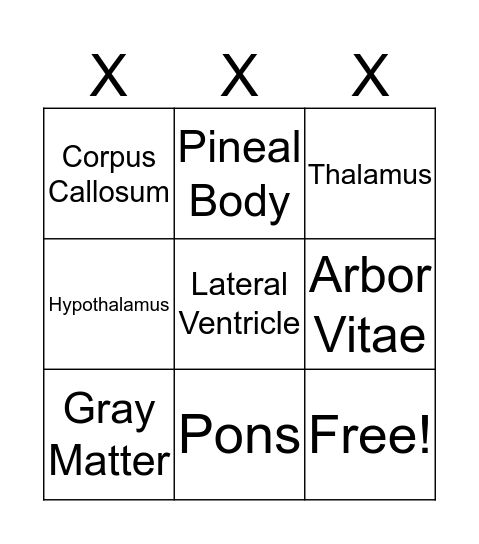 Brain Bingo Card