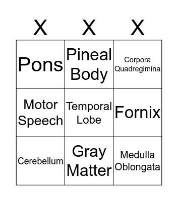 Brain Bingo Card