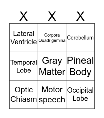 Brain Bingo Card
