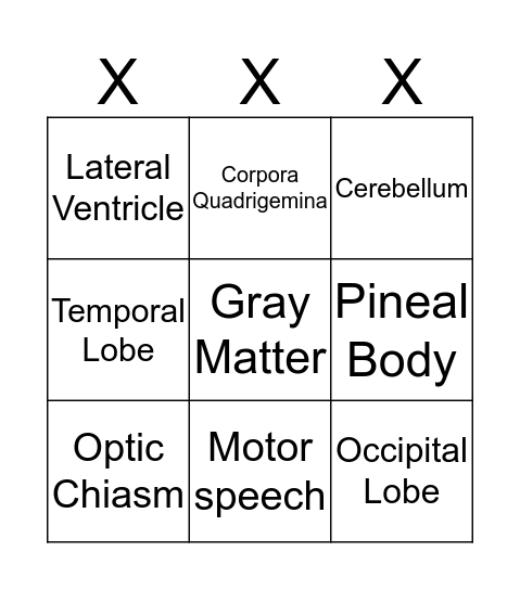 Brain Bingo Card