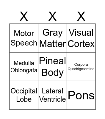 Brain Bingo Card