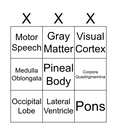 Brain Bingo Card