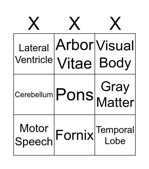 Brain Bingo Card