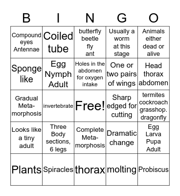 LIFE SCIENCE INSECTS Bingo Card