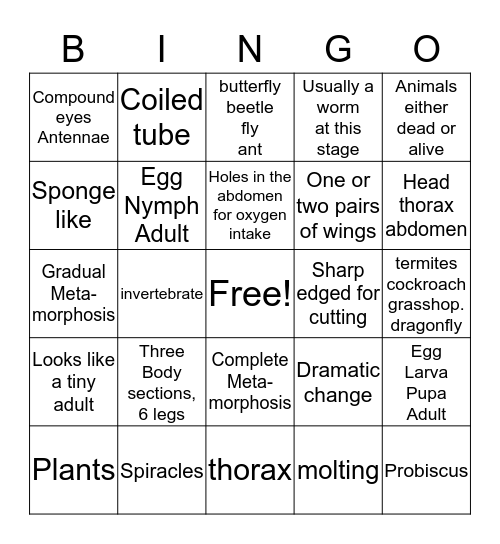 LIFE SCIENCE INSECTS Bingo Card