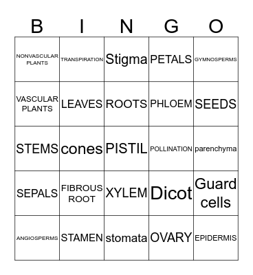 PLANTS Bingo Card