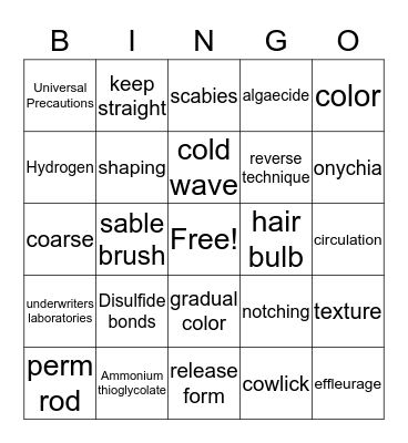 STATE BOARD PREP Bingo Card