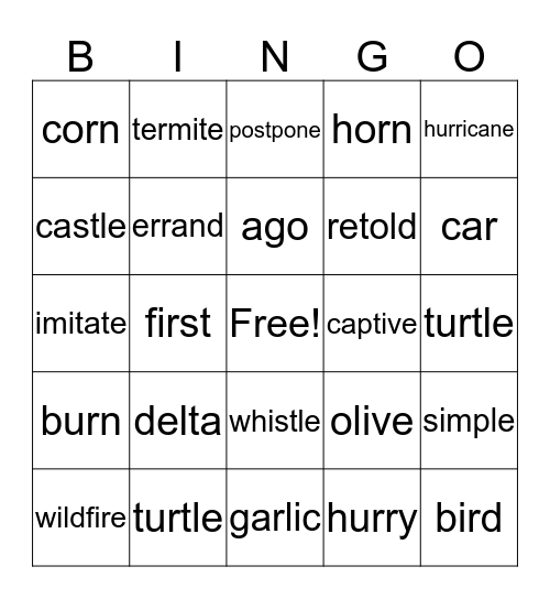 Syllable types... Bingo Card