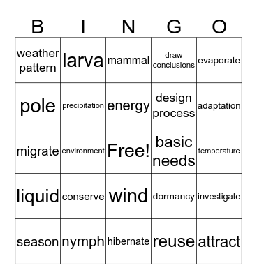 Vocabulary BINGO Card