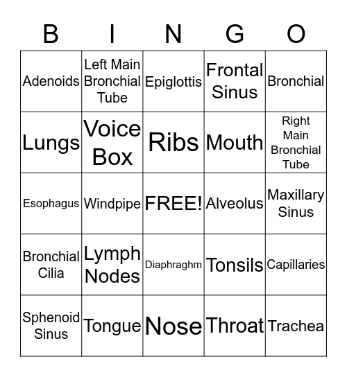 Respiratory Class 2013!! Bingo Card