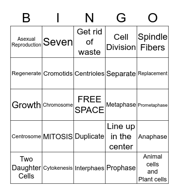 Mitosis Bingo Card