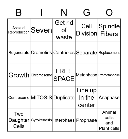 Mitosis Bingo Card