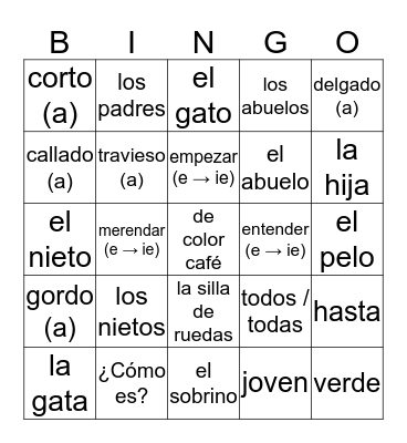 Expresate 1 CH 5 La Familia Bingo Card