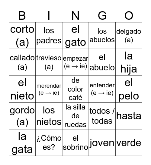 Expresate 1 CH 5 La Familia Bingo Card