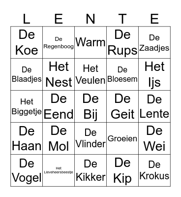 Lente Bingo Card