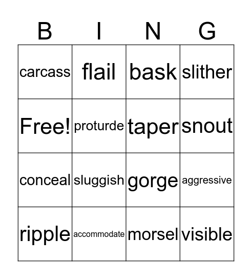 Vocab 13 Bingo Card