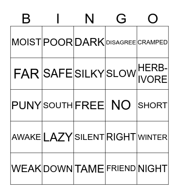 ANTONYMS Bingo Card