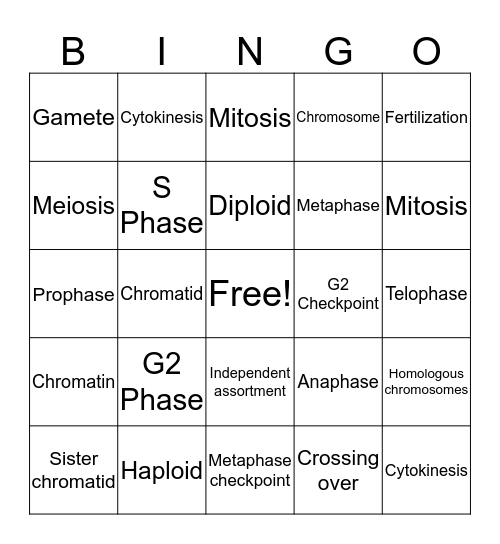Mitosis and Meiosis Bingo Card