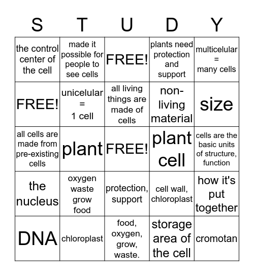 STUDY ABOUT CELLS!!!!!!!!!!!!!! Bingo Card