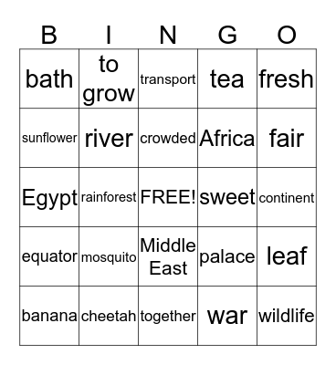 Project Afrika-Azië Bingo Card