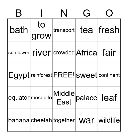 Project Afrika-Azië Bingo Card