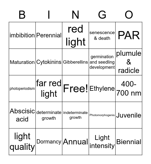 Plant Growth and Development Bingo Card