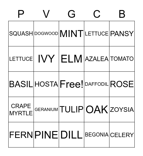 PVGCB Bingo Card