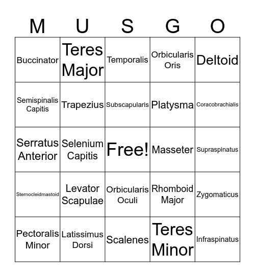 Muscle List #1 Bingo Card