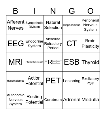 Biological Bases of Behavior Bingo Card