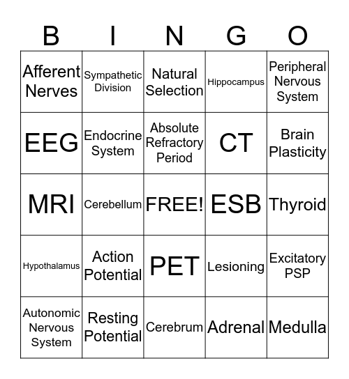 Biological Bases of Behavior Bingo Card