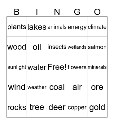 Minnesota Natural Resources Bingo Card