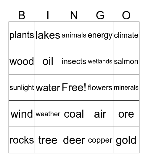Minnesota Natural Resources Bingo Card