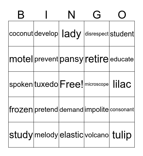 Open Syllable Words Bingo Card