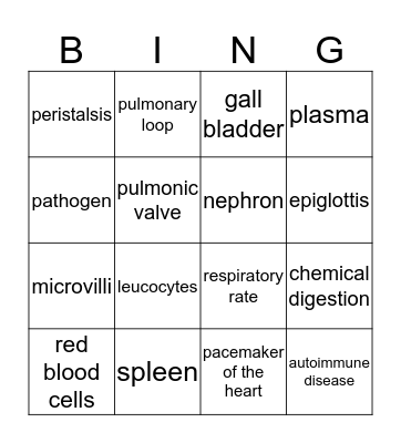 Anatomy & Physiology Bingo Card
