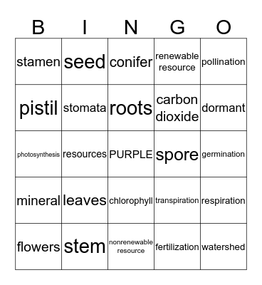 Life Processes & Virginia's Natural Resources Bingo Card