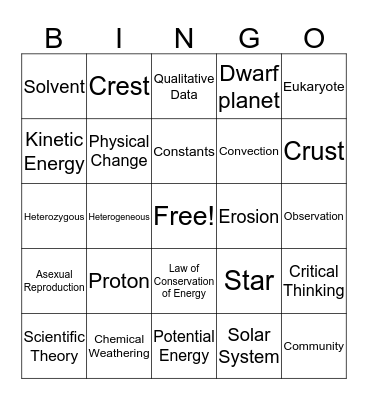 SSA Test Bingo Card