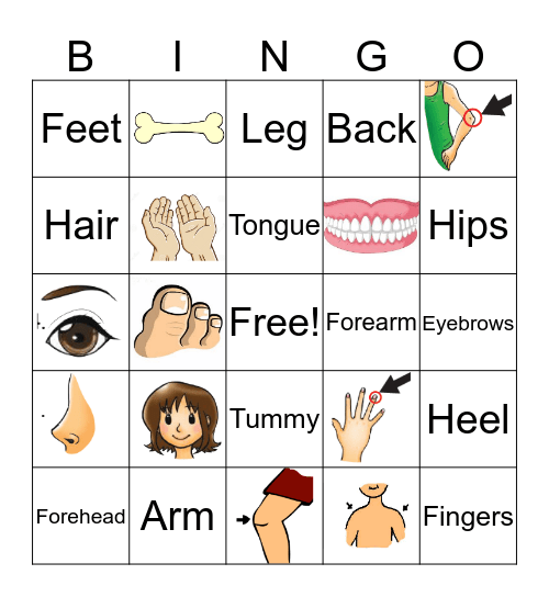 Body Parts Bingo Card