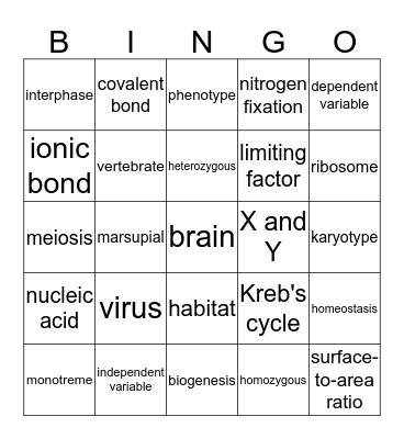 End of Year Biology Terms Bingo Card