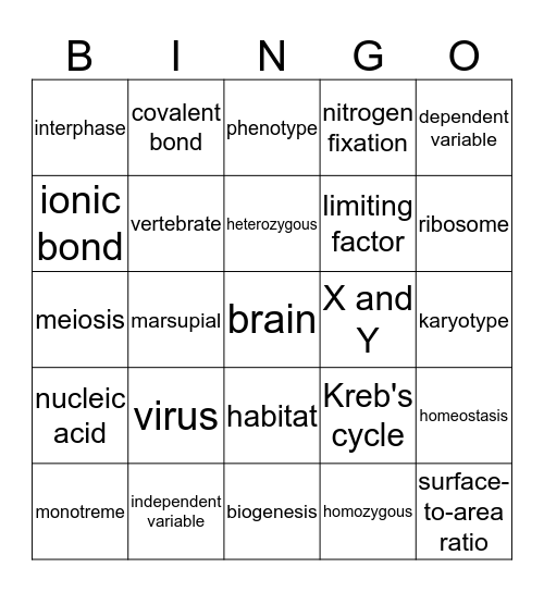 End of Year Biology Terms Bingo Card