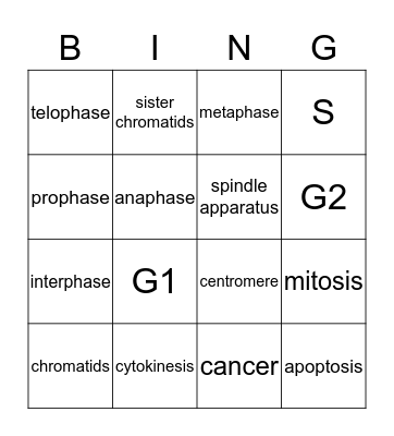 mitosis Bingo Card