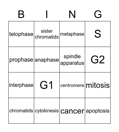 mitosis Bingo Card