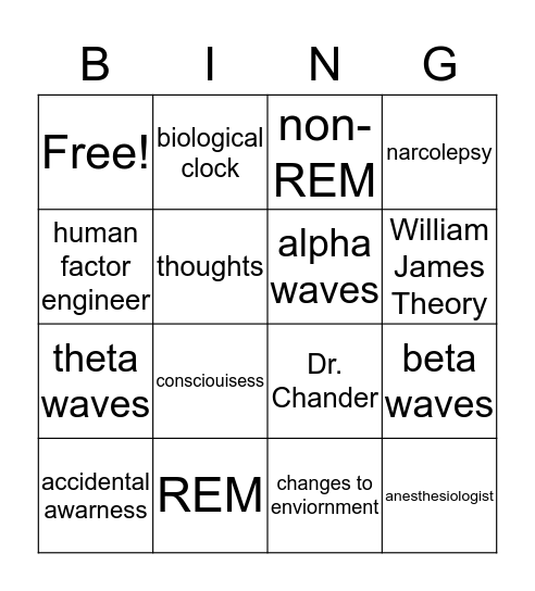 An Intro to Consciousness  Bingo Card