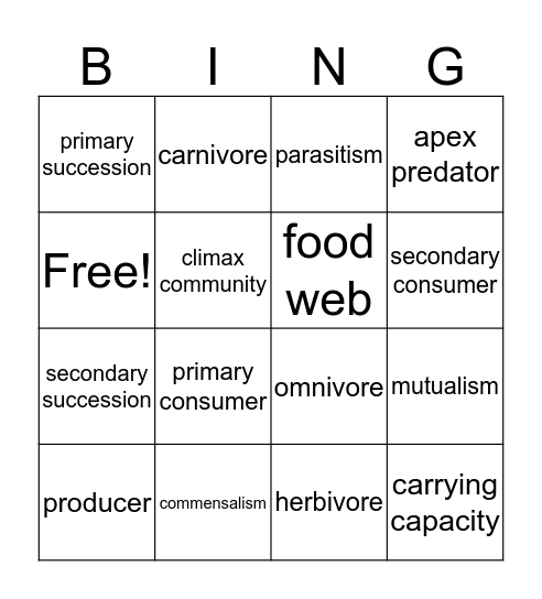 Category 5 Bingo Card