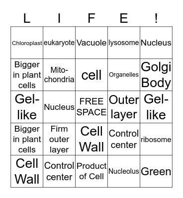 Organelles Bingo Card