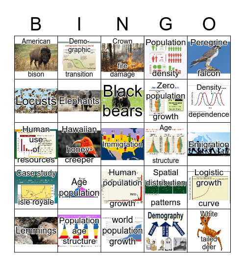 Population Ecology  Bingo Card