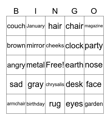 Seed Super Minds 2b, Units 5-6, Vocabulary  Bingo Card