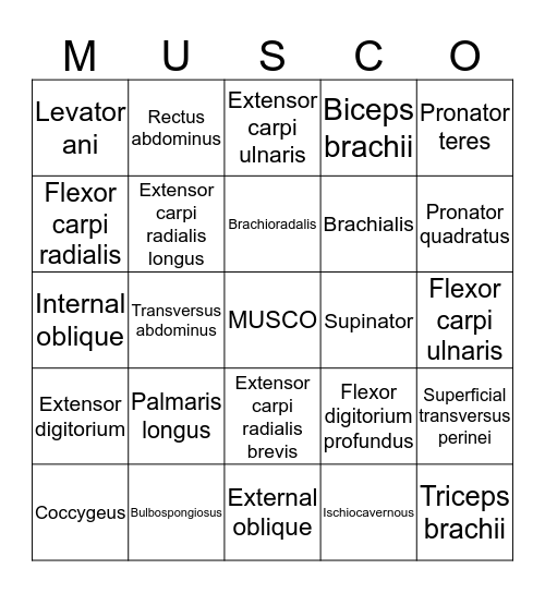 Muscle List #2 Bingo Card