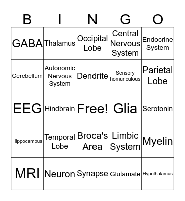 BioPsych Bingo Card