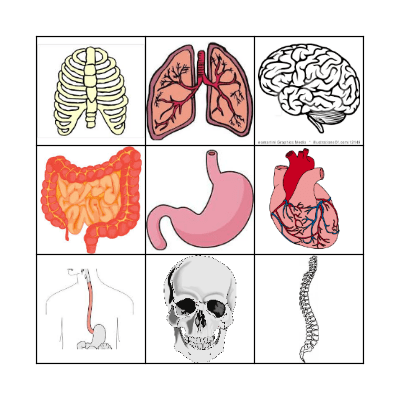 Body Part Bingo Card
