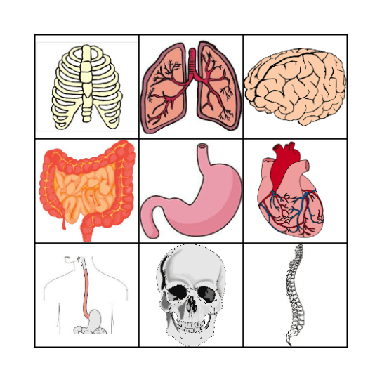 Body Part Bingo Card
